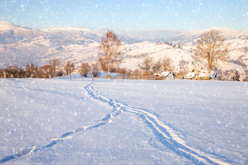 Fototapeta na wymiar Snowy winter day in mountain hills.