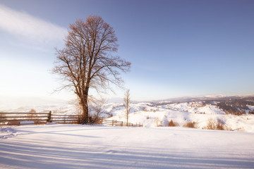 Snowy winter day in mountain hills.