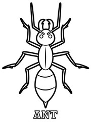 Illustration of ant
