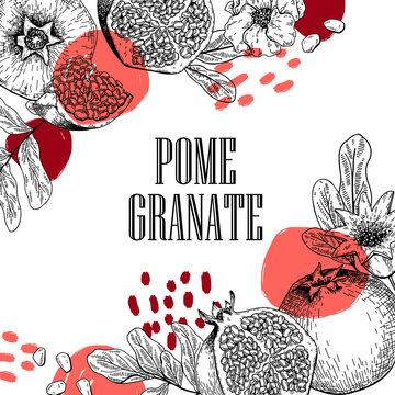 Hand drawn pomegranate composition. Vector engraved illustration. Juicy natural fruit. Food healthy ingredient. For cooking, cosmetic package design, medicinal herb, treating, healt care.