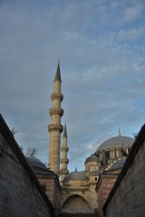 Fototapeta na wymiar The dome and the minarets of Suleymaniye Mosque
