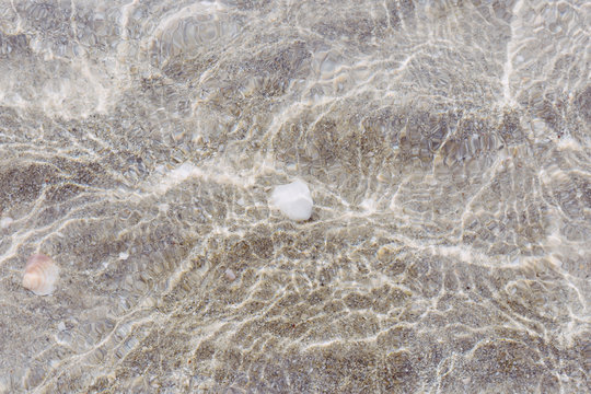white shell in the sea as a background. Sun reflection