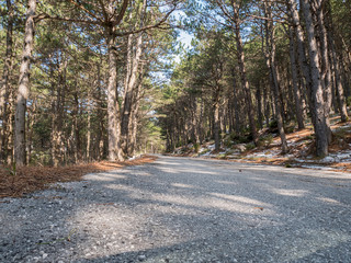 Empty mountain road