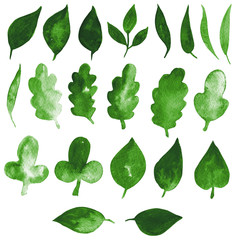 Watercolor hand drawn decor elements isolated on the white background. Green summer leaves, separate objects.