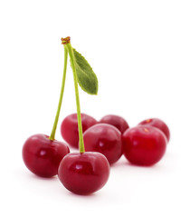 Red cherry isolated.