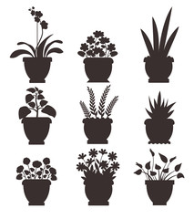 House Plants in Pot Collection Vector Illustration