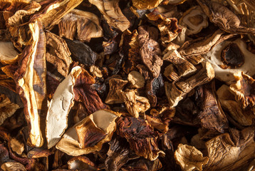 Dried porcini mushroom over wooden background