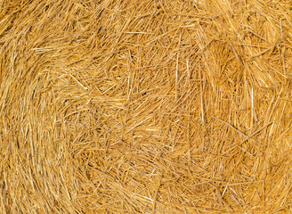 straw background or texture