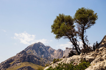 Fototapeta na wymiar Aussicht von abgelegenem Hügel auf beeindruckende Berglandschaft, strahlender Tag, Sa Calobra-Mallorca