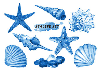 Watercolor set of sealife objects - seashells, starfish and stones. Hand drawn illustration isolated on white background. - 214207855