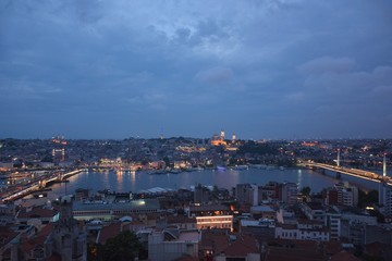 Fototapeta na wymiar Golden Horn and the Peninsula view from Galata Tower