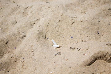 The trash on the sand on beach. 