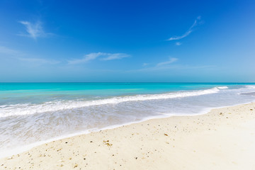 Fototapeta na wymiar Wide tropical sandy beach in front of turquoise ocean