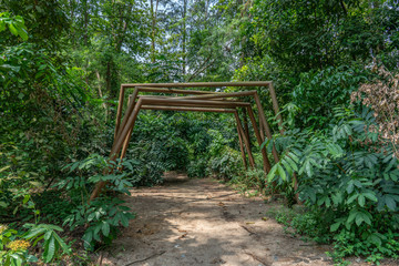 Fototapeta na wymiar Jungle path with structure and a Monkey