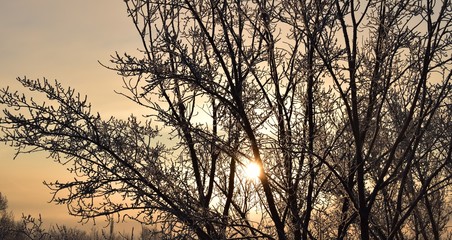 Зимнее утро