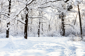 snowman on snowy glade in oak grove in forest