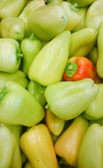 Obraz na płótnie Canvas Green sweet mix bell peppers close up (bulgarian pepper) fresh, assorted colorful capsicum paprika
