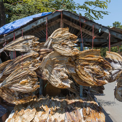 Sulawesi, Makassar ;  Verkaufsstand von Trockenfisch im Hafen von Makassar.