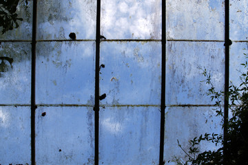 Dirty old greenhouse windows