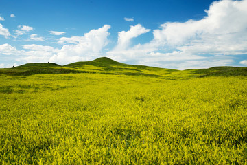 Fototapeta premium Black Hills South Dakota