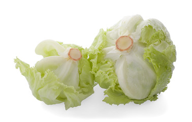 Green Iceberg lettuce on White Background