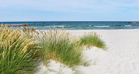 Ostsee Düne - Meer
