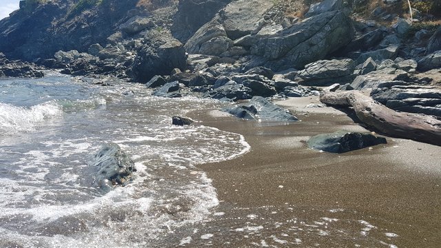 Beach Turkey, Faselis