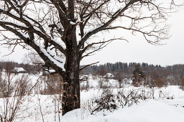 Fototapeta premium winter landscape of old little russian village