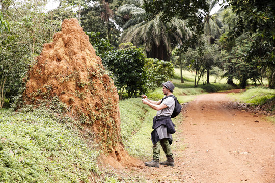 Uganda, Entebbe Botanic Gardens, Tourist taking pictures of
