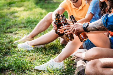 cropped shot of clinking bottles of beer while resting on green grass in park