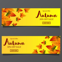 Autumn with fall leaves for sale banner