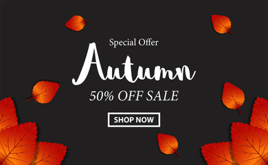 Autumn background sale banner with leaves