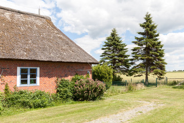 Fototapeta na wymiar Thatched cottage and plot in northern Germany