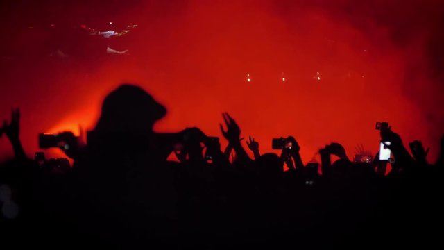 Heads of people at rock concert at night