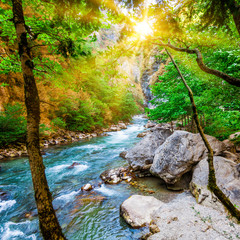 Beautiful view of mountain river in summer. Mountain river in the forest. Abkhazia. Beutiful...