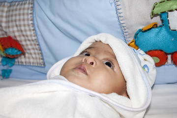 Kenji bebês