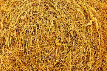 hay background