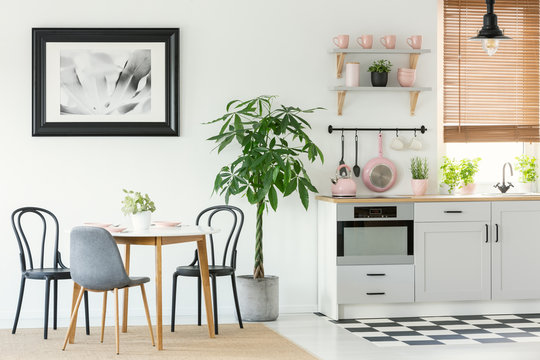 Open space dining room interior with a table, chairs, painting and tree next to a kitchen interior with pink tools and checkered floor