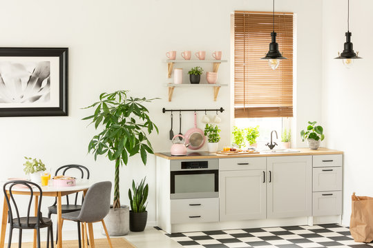 Real photo of a modern kitchen interior with cupboards, plants, shelves and pink accessories next to a dining table and chairs