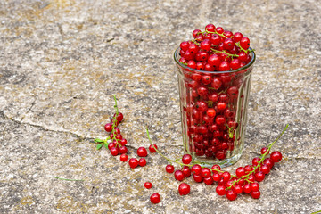 Glass with red currant on the concrete floor