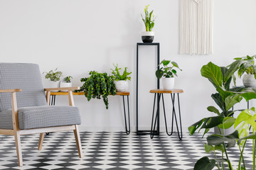 Patterned armchair on checkered floor in white living room interior with plants. Real photo