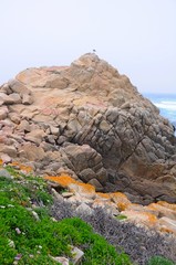 Beautiful beach near 17 mile Drive in Monterey, California, United States