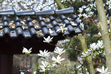 japanese garden leverkusen