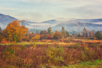 Naklejka na ściany i meble Beautiful autumn mountain landscape, foggy morning in the Carpathians