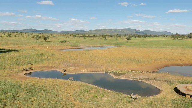 green savanna landscape with water hole in kenya