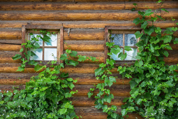 Fototapeta na wymiar Facade of a log wall with windows. Russian architecture