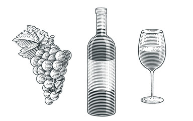 Wine bottle, glass of wine and grapes. Hand drawn engraving style illustrations. 