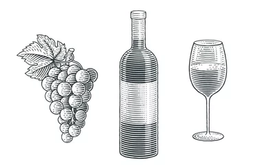 Fotobehang Wine bottle, glass of wine and grapes. Hand drawn engraving style illustrations.  © irina