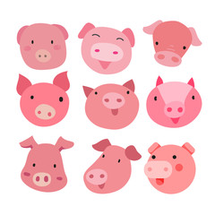pig character vector design