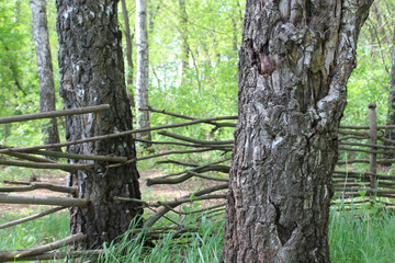 Traditional hand made village lath wooden fence around a forest park